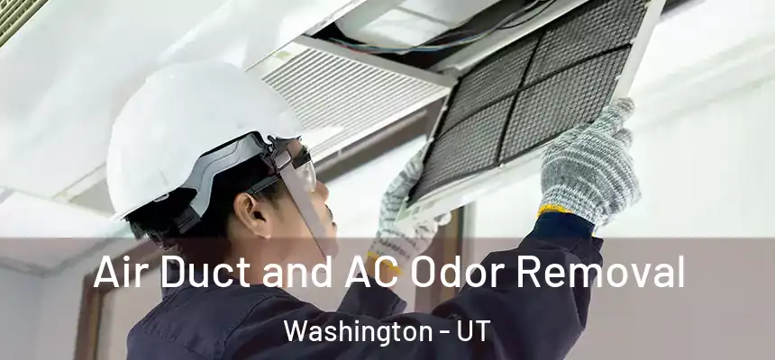 Air Duct and AC Odor Removal Washington - UT