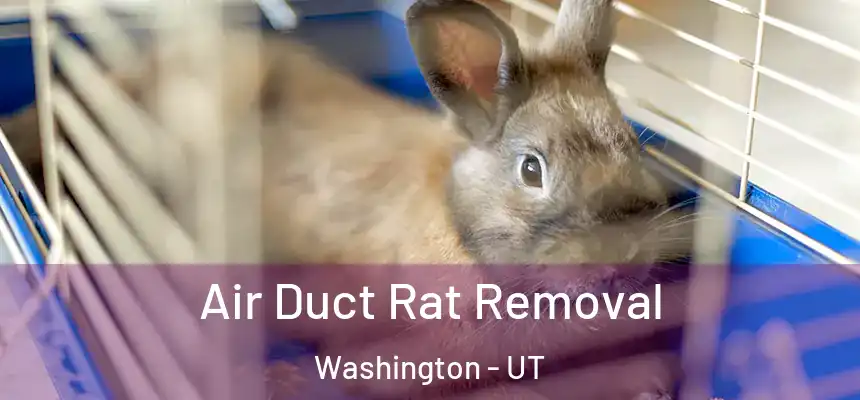  Air Duct Rat Removal Washington - UT