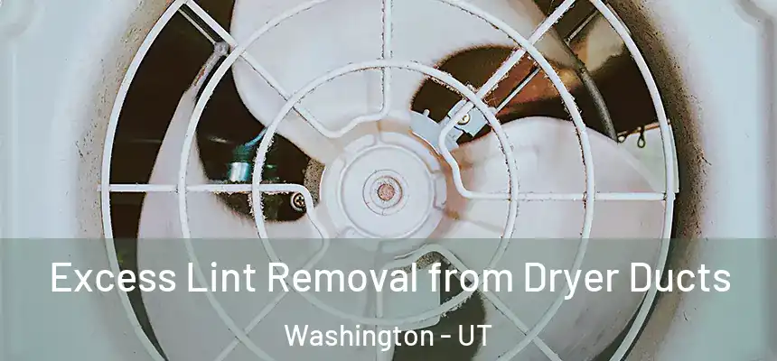  Excess Lint Removal from Dryer Ducts Washington - UT