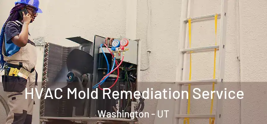  HVAC Mold Remediation Service Washington - UT