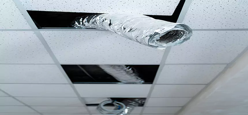 Our Air Duct Pet Hair Removal Services in Washington, UT