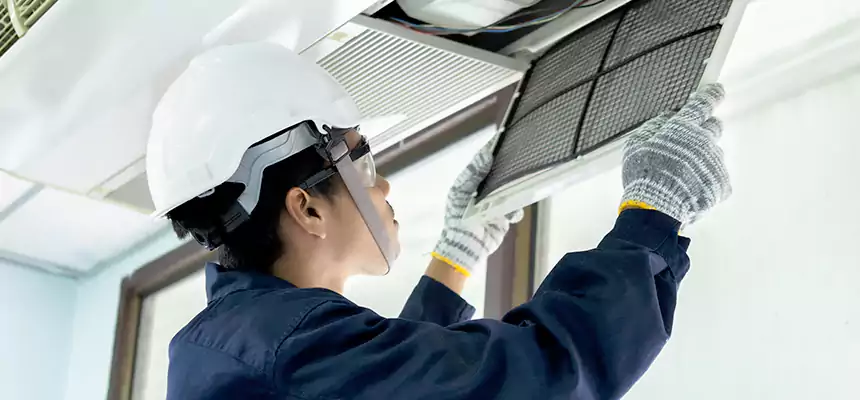 Our Mold & Mildew Removal from Air Ducts Services in Washington, UT