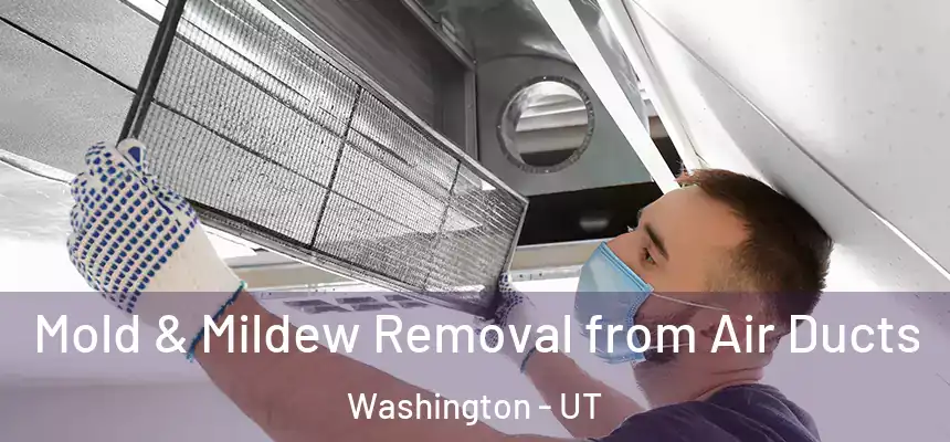  Mold & Mildew Removal from Air Ducts Washington - UT