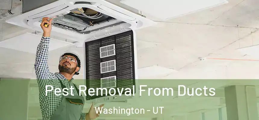  Pest Removal From Ducts Washington - UT