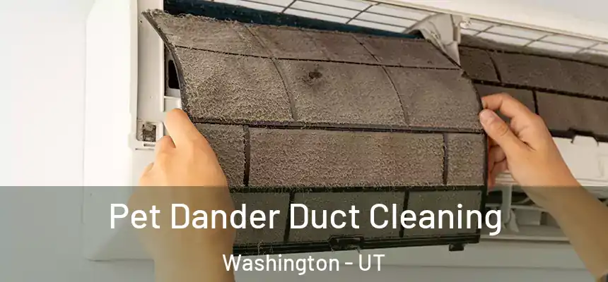  Pet Dander Duct Cleaning Washington - UT