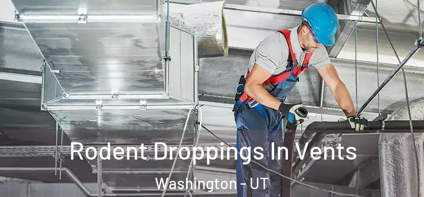  Rodent Droppings In Vents Washington - UT