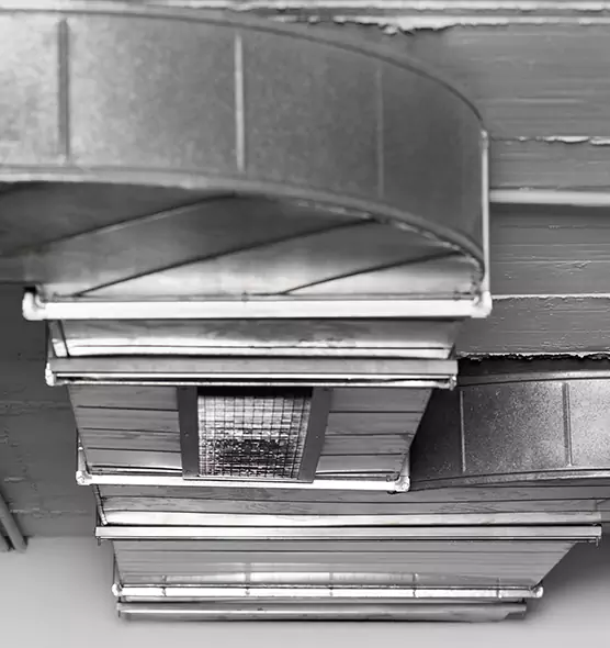 Professional Air Duct Pet Hair Removal in Washington, UT