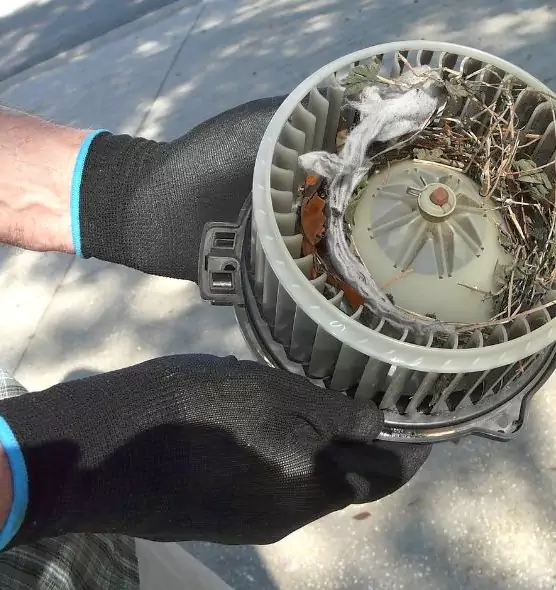 About Air Duct Rat Removal in Washington, UT