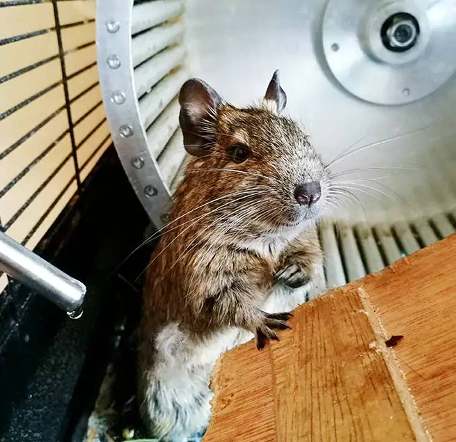 Why Homeowners & Businesses Trust Us Washington, UT